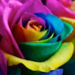 Meet your Posher, Nidhi